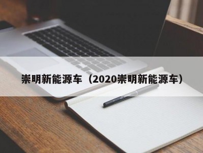 崇明新能源车（2020崇明新能源车）